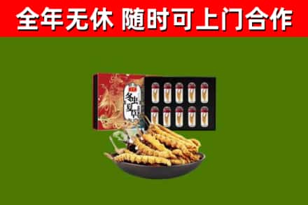 阜阳回收冬虫夏草价格