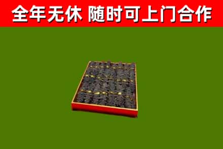 阜阳回收海参
